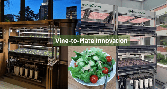 AEtrium System Vine-to-Plate Innovation